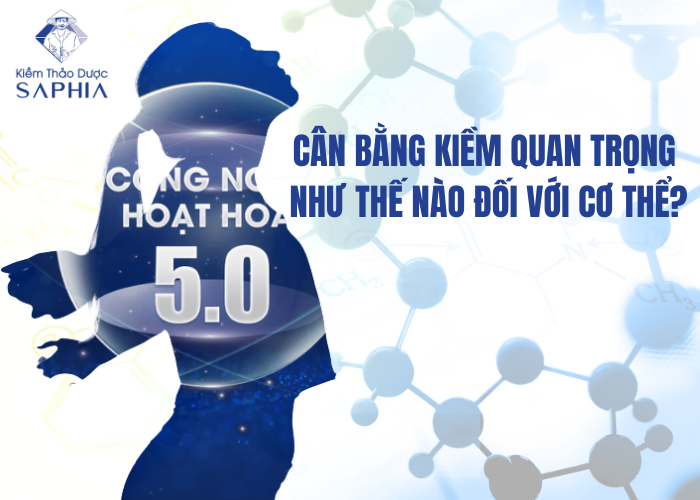 Cân bằng kiềm luôn quan trọng đối với cơ thể người