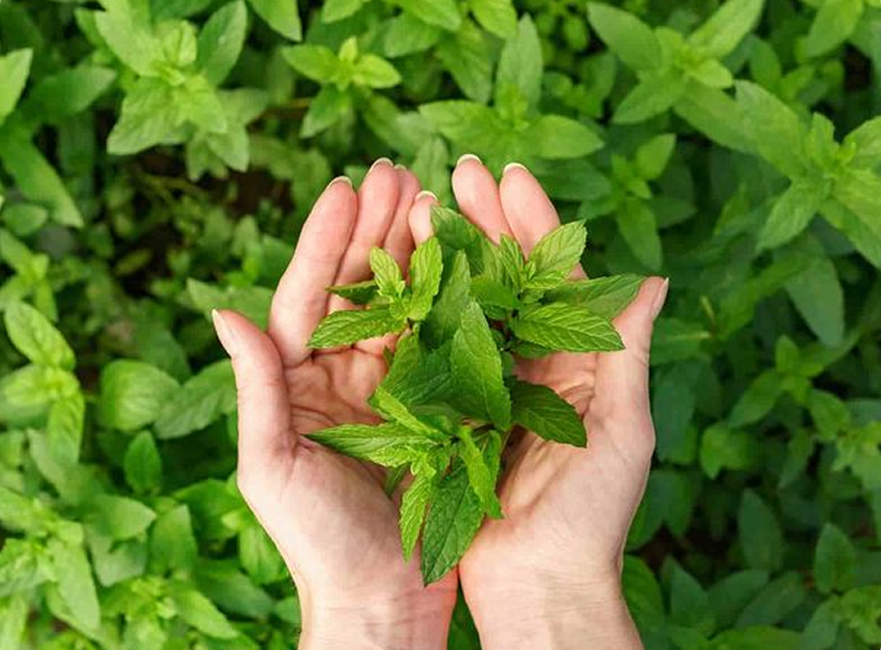 Sứ Mệnh Của Chúng Tôi